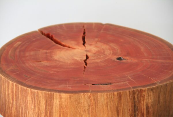 Mesa de Apoio Guará - Image 2